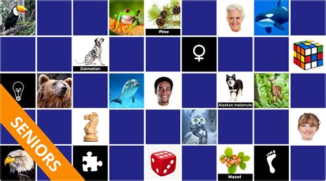 memory games for adults|Online Memory games for Adults and Seniors.